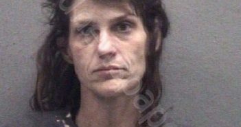 ACKLEY, JULIE ANN | 2022-12-08 Muskegon County, Michigan Booking