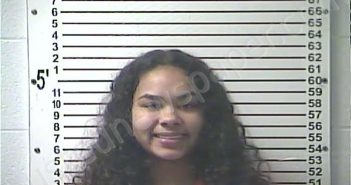 JOHNSON, CHELA GENA | 2022-12-08 03:16:00 Hardin County, Kentucky Booking