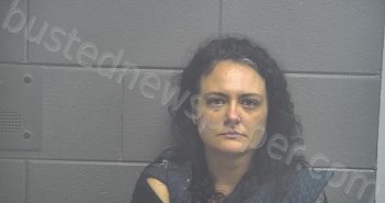 LOGSDON, SARAH MARY | 2022-12-11 18:57:00 Scott County, Kentucky Booking