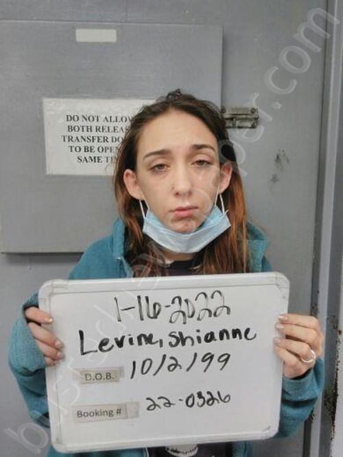 LEVINE, SHIANNE ROSE #, Sebastian County, Arkansas - 2022-12-12 23:54:00