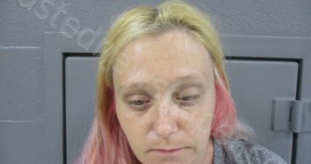 POLING, HOLLIE MARIE | 2022-12-13 00:05:00 Taylor County, West Virginia Booking