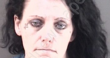 <B>WOLF</B>, <B>NICHOLE</B> <B>LANE</B> #, Wood County, Ohio - 2022-12-13