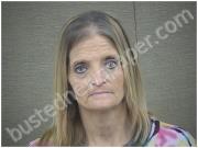 JOHNSON, KIMBERLY | 2022-12-13 Harnett County, North Carolina Booking
