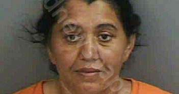 DUMITRU,MAGDALENA | 2022-12-14 Collier County, Florida Booking