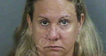 SCHMIDT,PATRICIA JANET | 2022-12-14 Collier County, Florida Booking