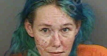 NEWLAND,NICOLE AMANDA | 2022-12-14 Collier County, Florida Booking