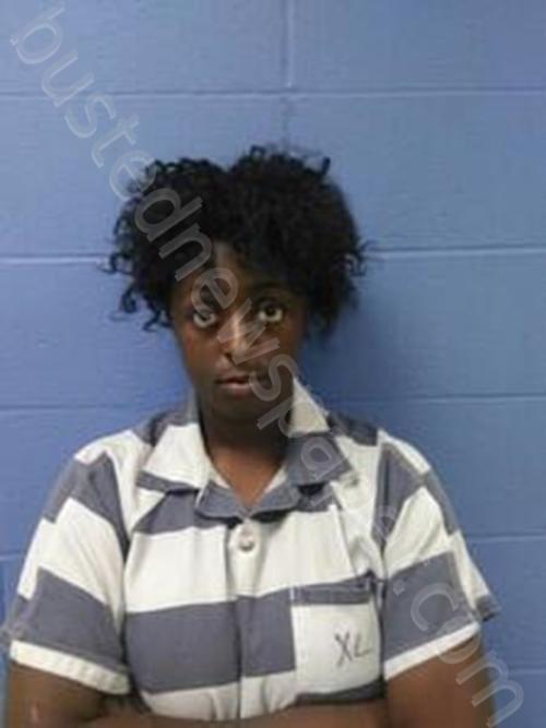 SHREETTA ELIZABETH ELLIS #, Faulkner County, Arkansas - 2022-12-15 16:38:00