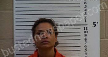 NELSON, KRISTEN KISHON | 2022-12-15 16:35:00 Cherokee County, North Carolina Booking