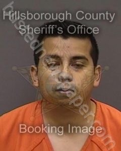 MENDOZA HERNANDEZ,ERICK | 2022-12-17 14:36:00 Hillsborough County, Florida Booking