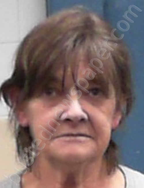 WILSON, PATTI JEAN #, Harrison County, West Virginia - 2022-12-18 02:15:00