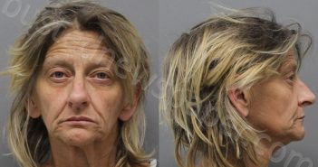 EDDINGTON, MICHELLE DENISE | 2022-12-19 Wise County, Texas Booking