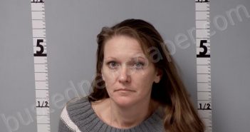 SMITH, JAIMI LE | 2022-12-19 03:30:00 Gratiot County, Michigan Booking