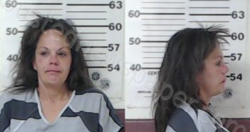 HAFLEY, LISA SUZANNE | 2022-12-20 Henderson County, Texas Booking