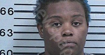 MARTINEZ, PORCHE DIONNE | 2022-12-20 14:56:45 Hood County, Texas Booking