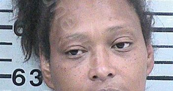 HOUSTON, DEBRA LEANNE | 2022-12-20 18:59:09 Hood County, Texas Booking