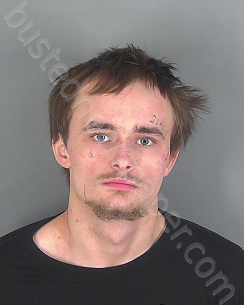 WILLIAM DALTON JAMES DODGENS #, Spartanburg County, South Carolina - 2022-12-21 19:26:35