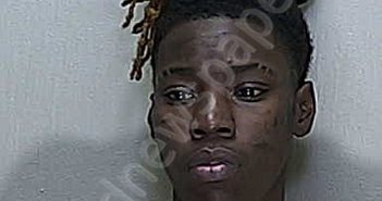 <B>REYNOLDS</B>, <B>PHELISA</B> <B>NICOLE</B> #, Marion County, Florida - 2022-12-22 13:15:00