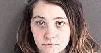 FOGLEMAN, MELISSA JO | 2022-12-24 Story County, Iowa Booking