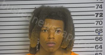 <B>JOHNSON</B>, <B>MICHAEL</B> <B>TERRAND</B>, <B>JR</B> #, Forrest County, Mississippi - 2022-12-27 00:48:42