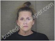 HOLLOMAN, TINA | 2022-12-28 Harnett County, North Carolina Booking