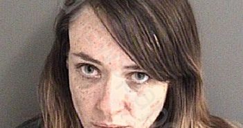 JOHANSEN, NICOLLETTE RAE | 2022-12-28 Story County, Iowa Booking