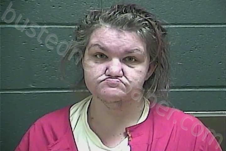 BOSWELL, DONNA ROSEANN #, Perry County, Indiana - 2022-12-29 12:20:00