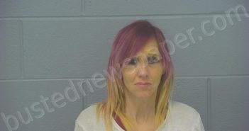 <B>PARSONS</B>, <B>JAMI</B> <B>MAE</B> #, Greene County, Missouri - 2022-12-29 01:12:00