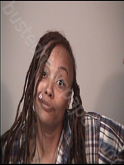 GONZALEZ, AMELIA FRANCESCA #, Rappahannock Regional Jail, Virginia - 2023-01-01 19:30:00
