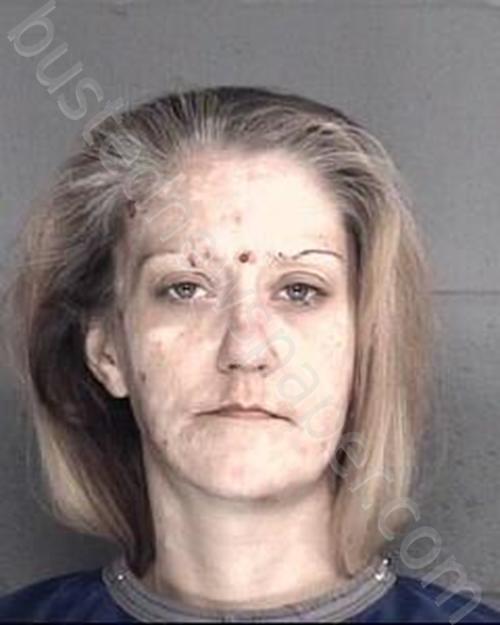 SUSAN DANIELLE ROBERSON #, Leavenworth County, Kansas - 2023-01-01 02:58:00