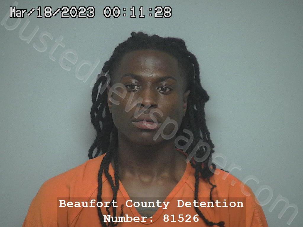 ANFERNY DEVON FREEMAN #, Beaufort County, South Carolina - 2023-01-03 02:59:42