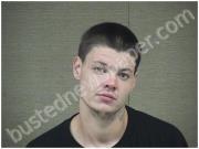 LEWIS, MICHAEL | 2023-01-04 Harnett County, North Carolina Booking