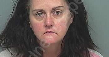 SLOAN, LESLIE ANNE | 2023-01-05 22:20:00 Montgomery County, Texas Booking