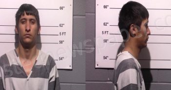 <B>GONZALES</B> RANGEL, CARLOS <B>SEBASTIAN</B> #, Gillespie County, Texas - 2023-01-08