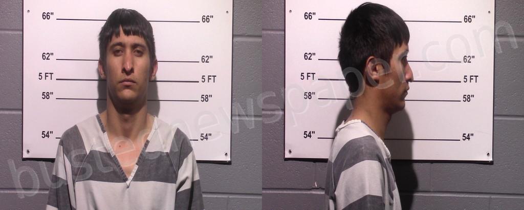 GONZALES RANGEL, CARLOS SEBASTIAN #, Gillespie County, Texas - 2023-01-08