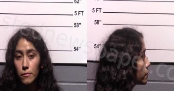 <B>OLVERA</B>, <B>YESENIA</B> #, Gillespie County, Texas - 2023-01-08