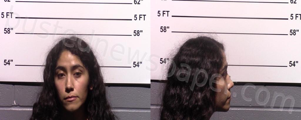 OLVERA, YESENIA #, Gillespie County, Texas - 2023-01-08