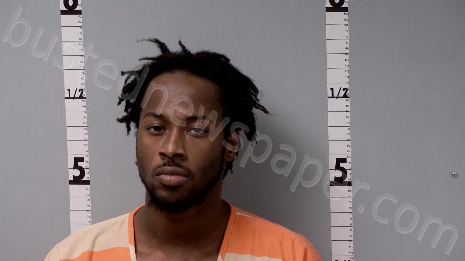 THOMAS, DUJUAN KINTE #, Gratiot County, Michigan - 2023-01-08 01:17:00
