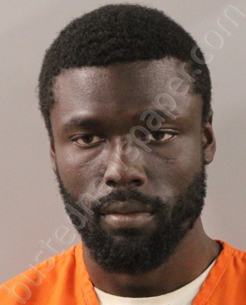 HAYNES, TERRIYON KE’VANTE #, Polk County, Florida - 2023-01-09