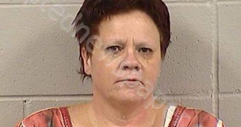 STAUFENBERG, MARY ANN ANN | 2023-01-10 05:40:00 Dickinson County, Kansas Booking