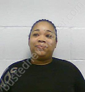 ASHLEY JOHNIQUE BURNS | 2023-01-10 Haywood County, Tennessee Booking