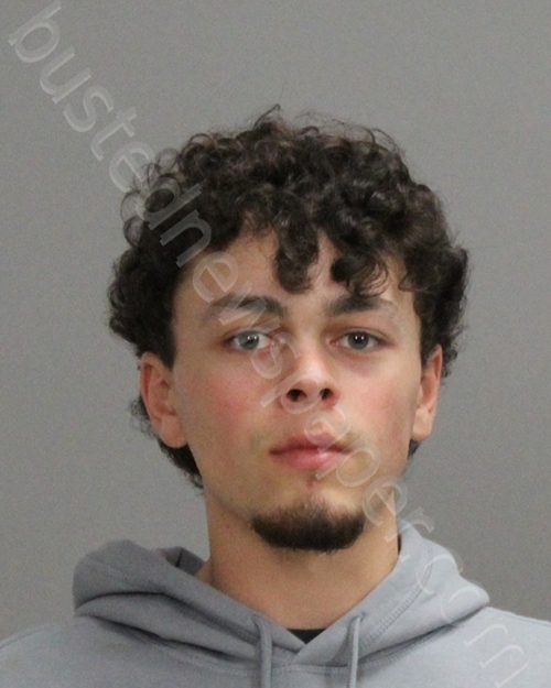 MERTENS, ANTHONY DAVID #, Brazos County, Texas - 2023-01-11