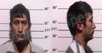 <B>GONZALES</B> RANGEL, CARLOS <B>SEBASTIAN</B> #, Gillespie County, Texas - 2023-01-12