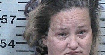 WILSON, TAMMY LYNN | 2023-01-12 01:23:08 Hood County, Texas Booking