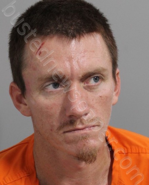 RIKER, SKYLER MATTHEW #, Polk County, Florida - 2023-01-13