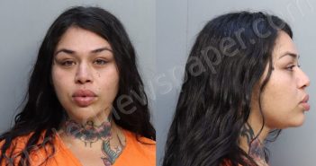 <B>ARREOLA</B>, <B>CHEYENNE</B> #, Miami-Dade County, Florida - 2023-01-14 22:44:00