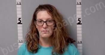 MYERS, CARRIE LYNN | 2023-01-17 15:07:00 Gratiot County, Michigan Booking