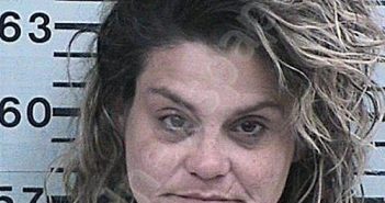 ESTES, BRANDY KAY | 2023-01-17 11:10:58 Hood County, Texas Booking