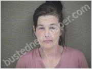 NEWELL, BRANDY | 2023-01-17 Harnett County, North Carolina Booking