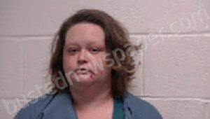 RIDDLE, CHELSEY RENEE | 2023-01-18 07:16:00 Robertson County, Tennessee Booking