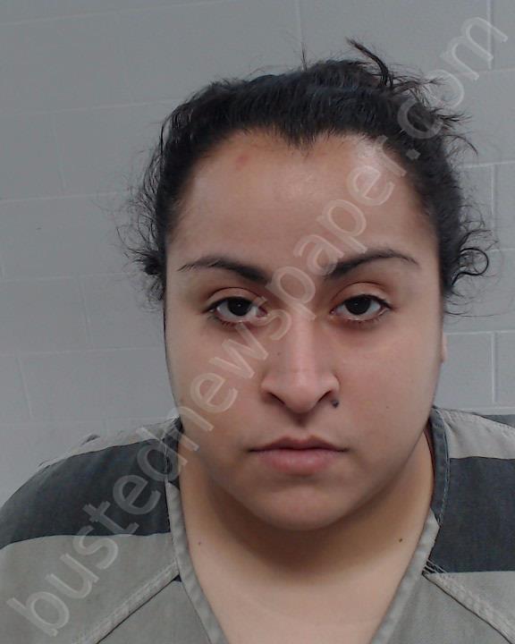 PONCE, KRISTINA MARIA #, Johnson County, Texas - 2023-01-18